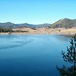Lodge Daisy Forest Borino