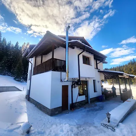 Daisy Forest Lodge *