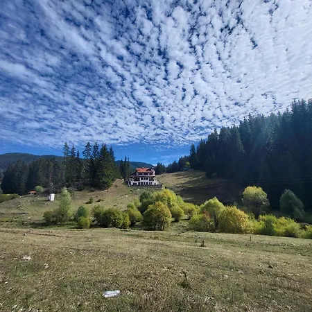 Daisy Forest Lodge *