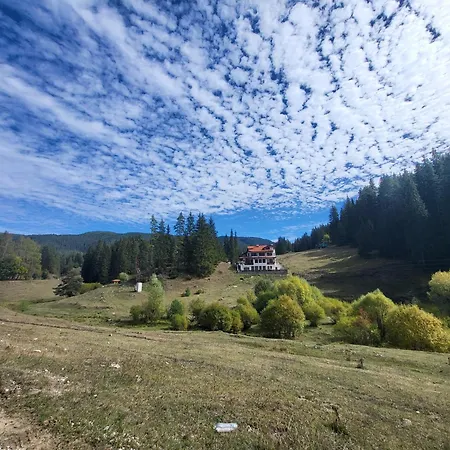 Lodge Daisy Forest Borino