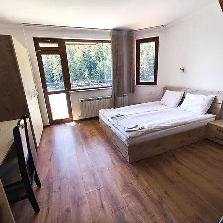 Daisy Forest Lodge Borino