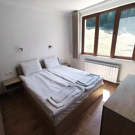Daisy Forest Lodge Borino