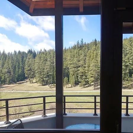 Daisy Forest Lodge *
