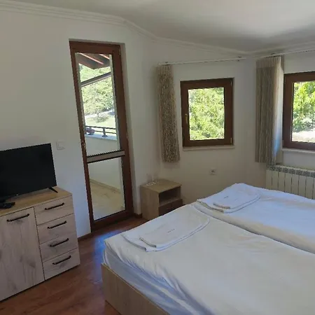 Lodge Daisy Forest