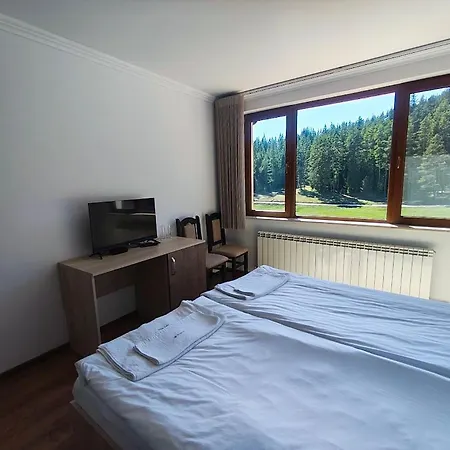 Lodge Daisy Forest