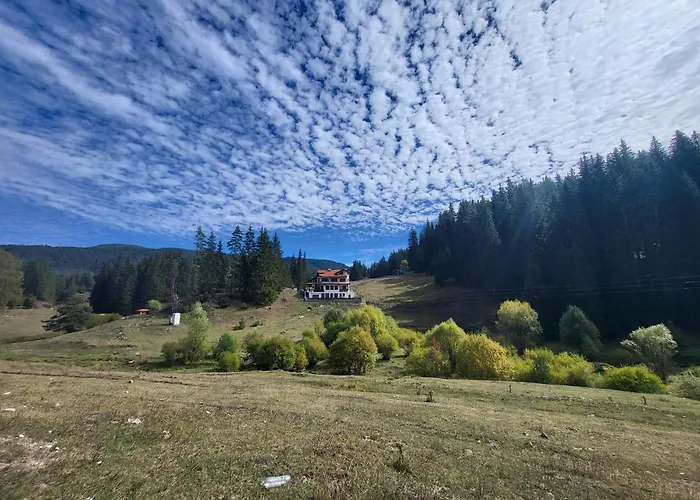 Daisy Forest Lodge *