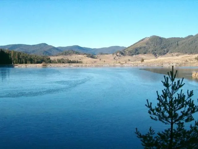 Lodge Daisy Forest Borino