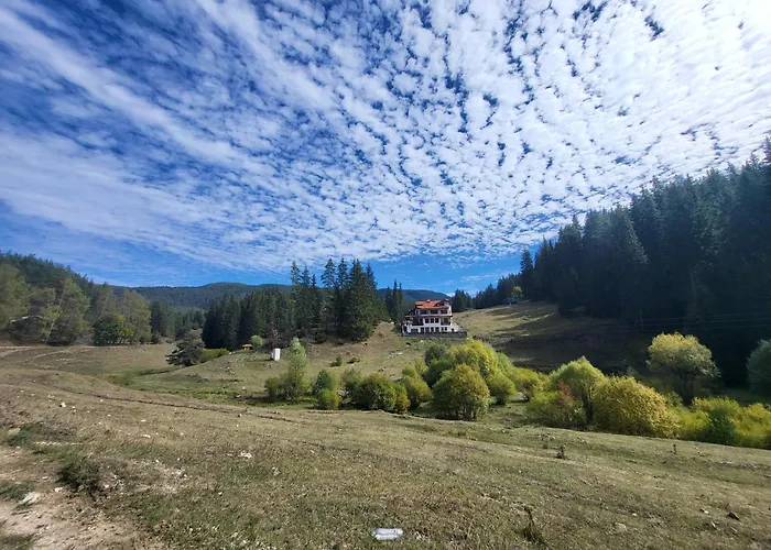 Lodge Daisy Forest Borino