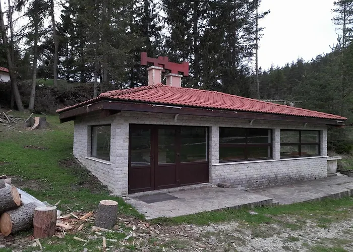 Lodge Daisy Forest *